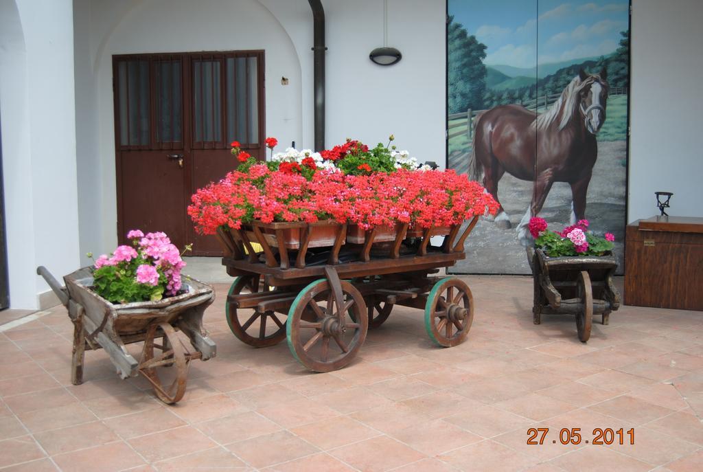 La Pioppa Agriturismo Sacile Kültér fotó