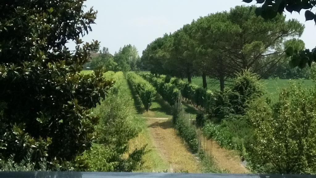 La Pioppa Agriturismo Sacile Kültér fotó