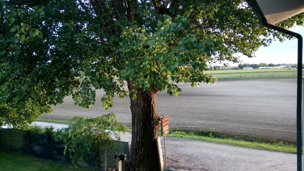 La Pioppa Agriturismo Sacile Kültér fotó